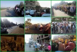 تقرير شامل عن المنوفية من يوم4يوليو حتي 10 يوليو 2014