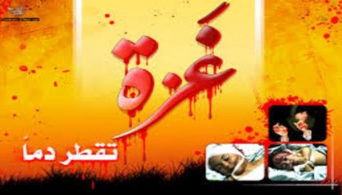 آيات عرابي تكتب : قصة مدينة!