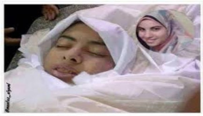 بالفيديو رائعة  مولوتوف " علمينا"  إهداء للشهيدة هبة جمال