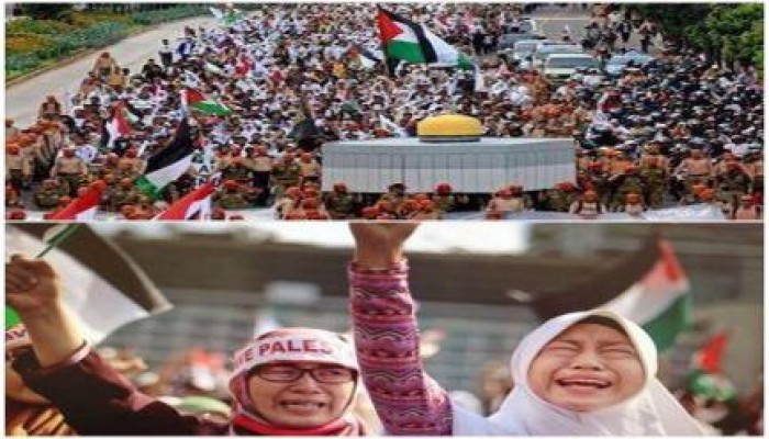 امه واحده (صور)الألاف من الشعب الأندونيسي يخرجون في مسيرات ضد العدوان علي غزة في مشهد مهيب