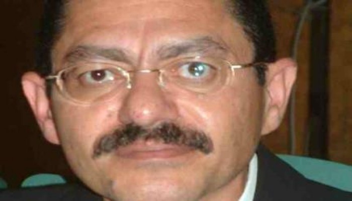 دراسة لـ رفيق حبيب: "عام بعد الانقلاب ..حصاد الحراك الثوري