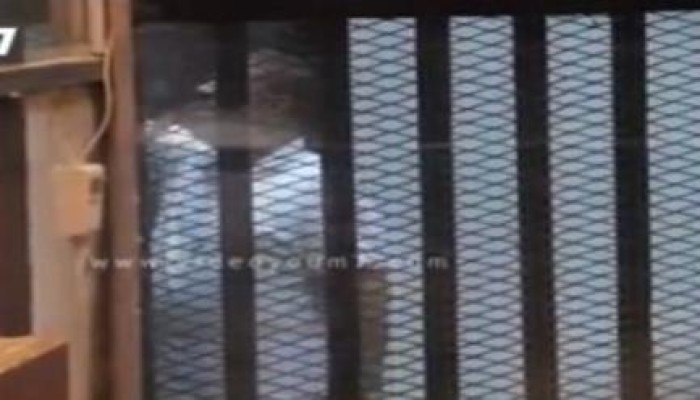 بالفيديو .. الرئيس مرسي يهتف "لبيك يا غزة لبيك يا فلسطين" من داخل قفص المحاكمة الهزلية