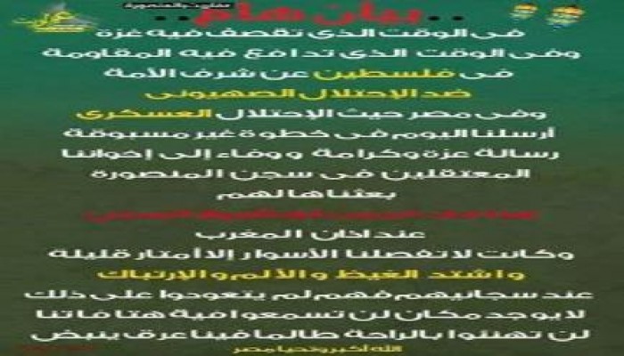 بيان لحركة "عفاريت ضد الانقلاب" بالدقهلية