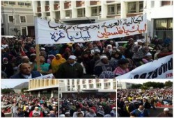 بالصور :جنوب افريقيا تنتفض دعما للربيع العربي ورفضا للعدوان الصهيوني علي غزة