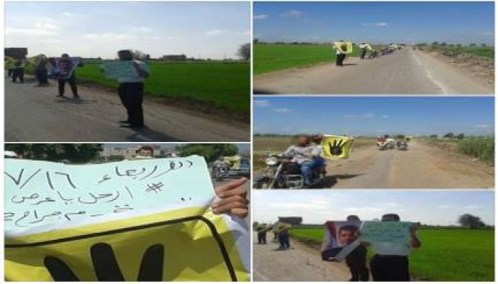 أهالي قرية النسمية بالدقهلية ينظمون سلاسل بشرية ضد الانقلاب