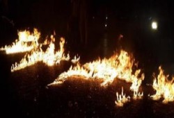 مواطنون يقطعون شارع ‫‏الهرم‬ ويضرمون النار