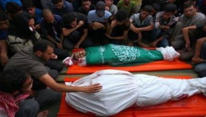 ارتفاع عدد الضحايا في غزة إلى 342 شهيدا و2560 جريحا