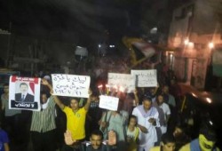 البحيرة - بالصور : ثوار حوش عيسي ينظمون فعالية حاشدة ليلية ضد الانقلاب العسكري