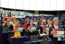 17 نائبًا باﻻتحاد الأوروبي يتضامنون مع غزة