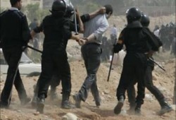 حقوقيون دوليون: مصر تعيش أسوأ عصور الاستبداد في تاريخها الحديث