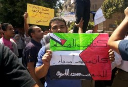 بالصور .. المطرية تنتفض ضد الانقلاب الدموى ودعما للمقاومة في غزة