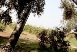 حصاد اليوم الـ20 .. قصف تل أبيب واشتباك من مسافة صفر
