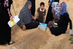 غزة يحتفلون بالعيد  في المقابر ملف مصور