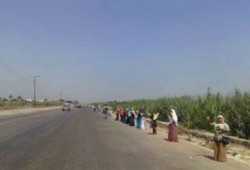 سلسلة بشرية لثوار مركز دمنهور بالطريق الزراعي تطالب بمحاكمة قادة الانقلاب
