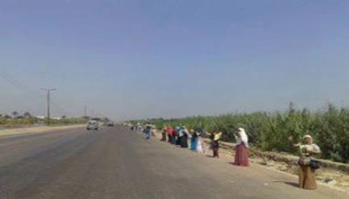سلسلة بشرية لثوار مركز دمنهور بالطريق الزراعي تطالب بمحاكمة قادة الانقلاب