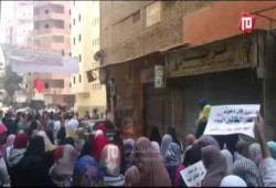 بالفيديو .. ثوار المعادي: "تسلم إيدك يا حماس"