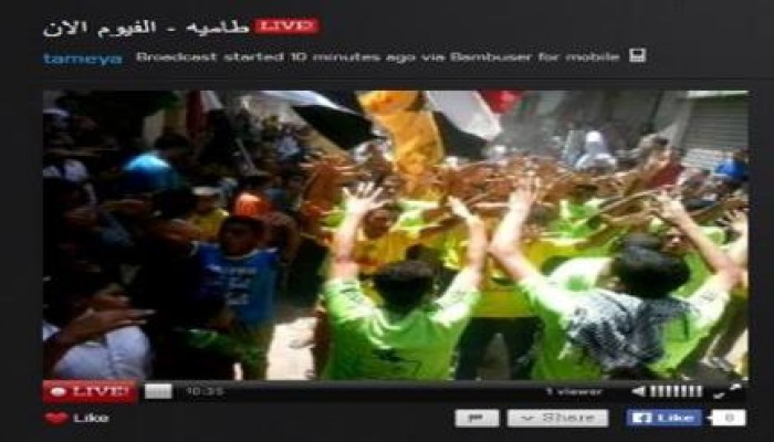 بالفيديو.. احتشاد المواطنين بطامية الفيوم ضد الانقلاب العسكري ودعما لغزة