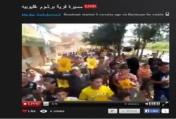 ثوار قرية برشوم بالقليوبية ينتفضون ضد الانقلاب ومجازر الصهاينة بغزة