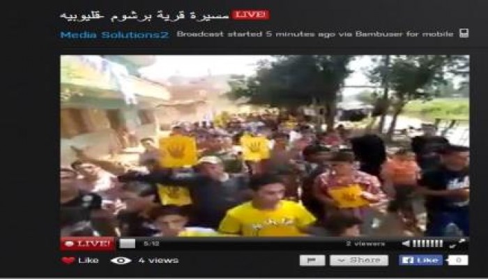 ثوار قرية برشوم بالقليوبية ينتفضون ضد الانقلاب ومجازر الصهاينة بغزة