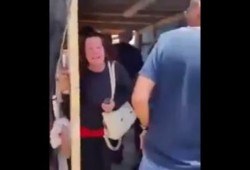 بالفيديو ..شاهد رعب الصهاينة "صراخ وعويل وركض" من صواريخ المقاومة