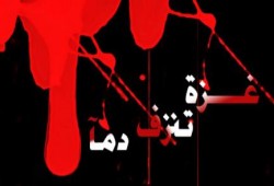 محامٍ دولي: سحب السفراء كشف الفارق بين حكام يملكون إرادتهم وآخرين لا يملكون سوى التبعية