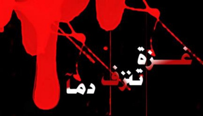 محامٍ دولي: سحب السفراء كشف الفارق بين حكام يملكون إرادتهم وآخرين لا يملكون سوى التبعية