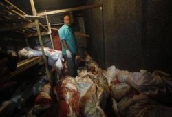 ننشر صور للشهداء في ثلاجة الخضراوات بعد امتلاء ثلاجات الموتى برفح في قطاع غزة