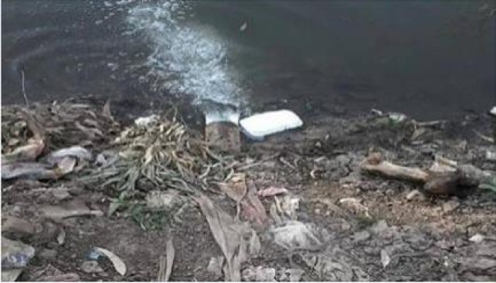 كارثة إنسانية.. الصرف الصحي يروي الأراضي الزراعية بالسنطة