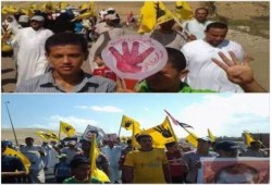 بالصور : ثوار كفرالشيخ ينظمون مسيرة رافضة للانقلاب العسكري بقرية البنايين ببلطيم