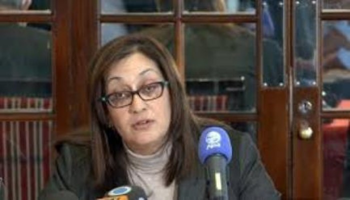 رئيسة المجلس الثوري: مرسي رئيس شرعي لمصر ورمز للمسار الديمقراطي