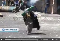 فيديو .. جنود صهاينة يتراجعون أمام فلسطيني بصاروخ ورقي