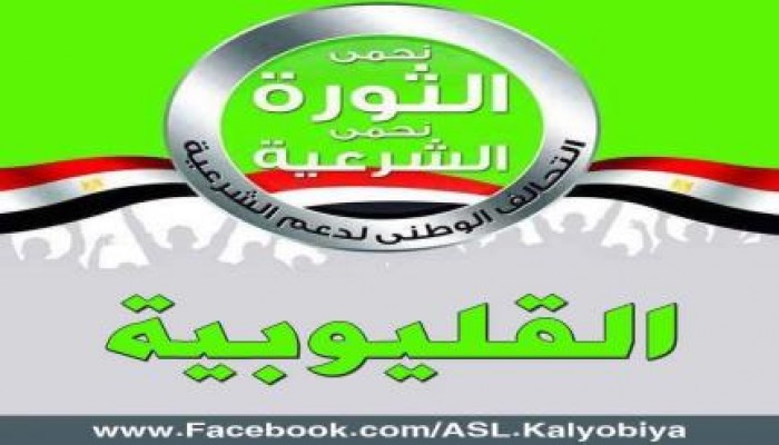 تحالف دعم الشرعية بالقليوبية يتوعد بالثأر لشهيد الغدر بالمطرية