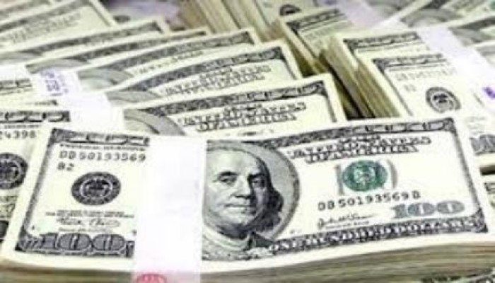 فضيحة.. حكومة الانقلاب": الجنسية المصرية لـ"البدون" في الخليج مقابل الدولار