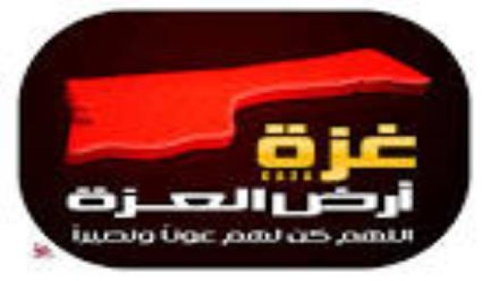 محلل سياسي صهيوني : السيسي له ثأر وأبدى رغبة شديدة بتدمير حماس