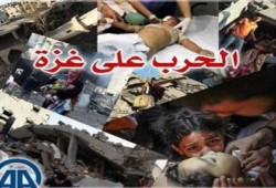 ارتفاع حصيلة الحرب على غزة إلى 1980 شهيدا