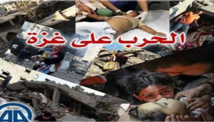 ارتفاع حصيلة الحرب على غزة إلى 1980 شهيدا