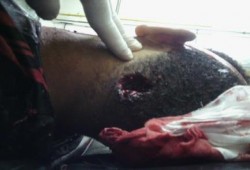 "رمضان الشاذلي" قاتل الشهيد "أحمد ماضي" يسلم نفسه.. ونيابة الانقلاب تخلي سبيله