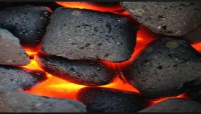 حكومة الانقلاب تبدأ أولى خطوات استخدام الفحم .. ولا عزاء لحماية البيئة وصجة المواطنين