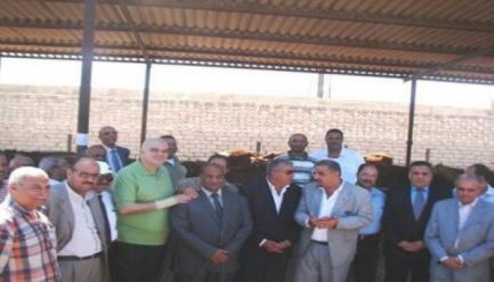 استقبال رسمى لـــ"مواشى الإمارات" بالإسكندرية