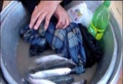 حرس الحدود بجيش الانقلاب تقطع أرزاق الصيادين بالإسماعيلية