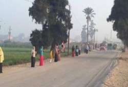 الشرقية: سلاسل بشرية لثوار أبو حماد تحية لانتصار المقاومة الفلسطينية