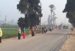الشرقية: سلاسل بشرية لثوار أبو حماد تحية لانتصار المقاومة الفلسطينية