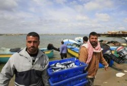 نقيب الصيادين في غزة تم صيد 20 طن سمك منذ ليلة أمس