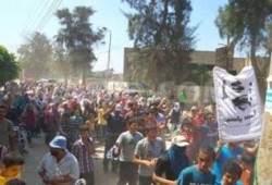 تظاهرة حاشدة لتحالف دعم الشرعية بأبوحماد ب‏الشرقية‬