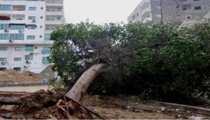 500 مليون دولار خسائر الزراعة في غزة بسبب العدوان