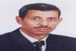 مبادرات ومناورات