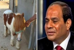 "السعودية" تحذف "السيسى" من المناهج.. والنشطاء يسخرون