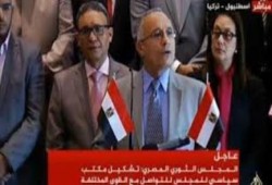 معارضون مصريون يدعون لمحاصرة الحكومة اقتصاديا