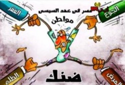 بالفيديو :  ضنك  ثورة الغلابة