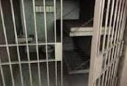 إخلاء سبيل 8 من رافضي الانقلاب بالوادي الجديد